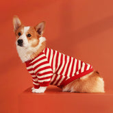 Sweater with Corgi